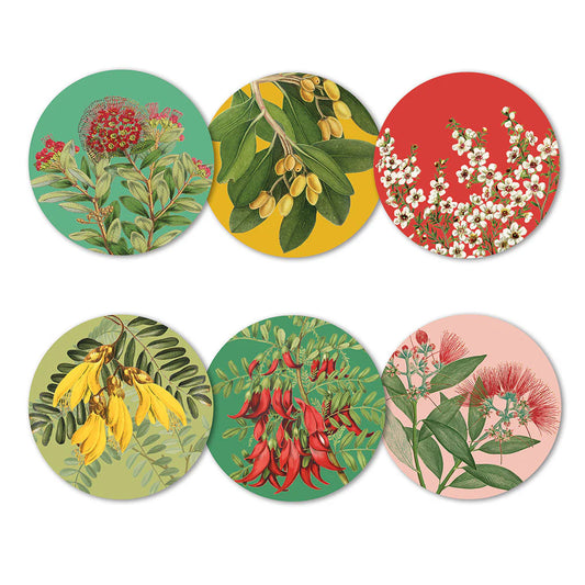 Native Botanicals Of New Zealand Boxed Coasters - Set Of 6