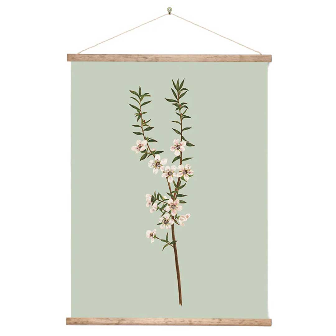 Vintage Botanical Manuka Canvas Wall Print