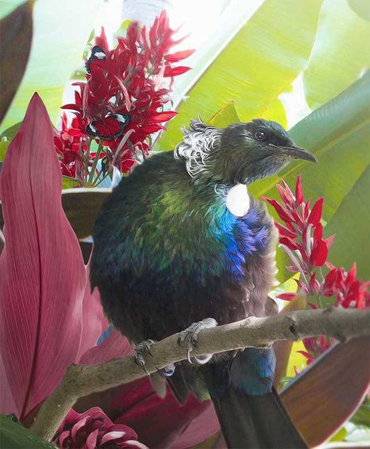 Hope - NZ Tui Oval Framed Art Print by Lucy G Detail