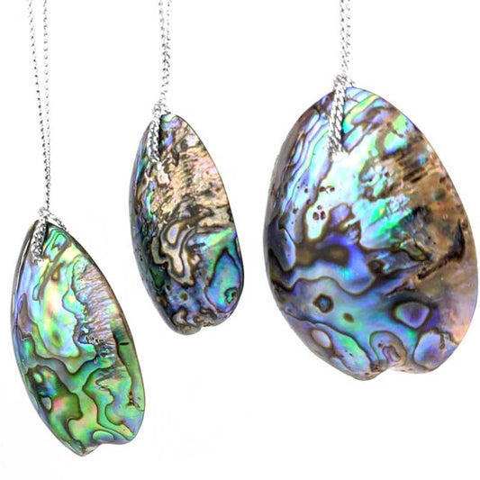 Set of 3 Natural Paua Shell Christmas Decorations Side