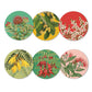Native Botanicals Of New Zealand Boxed Coasters - Set Of 6