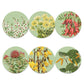 New Zealand Native Botanicals Boxed Placemats - Set Of 6