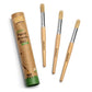 Honeysticks Jumbo Paint Brush Set - 3 Pack