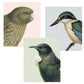 Hushed Native Birds Microfibre Lens Cloth - 3 Designs
