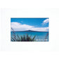 New Zealand Landscape Mini Photo Collection  Rangitoto