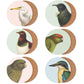 New Zealand Native Bird Mix'n'Match Coasters