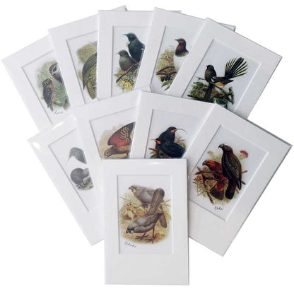 Full Set Of 10