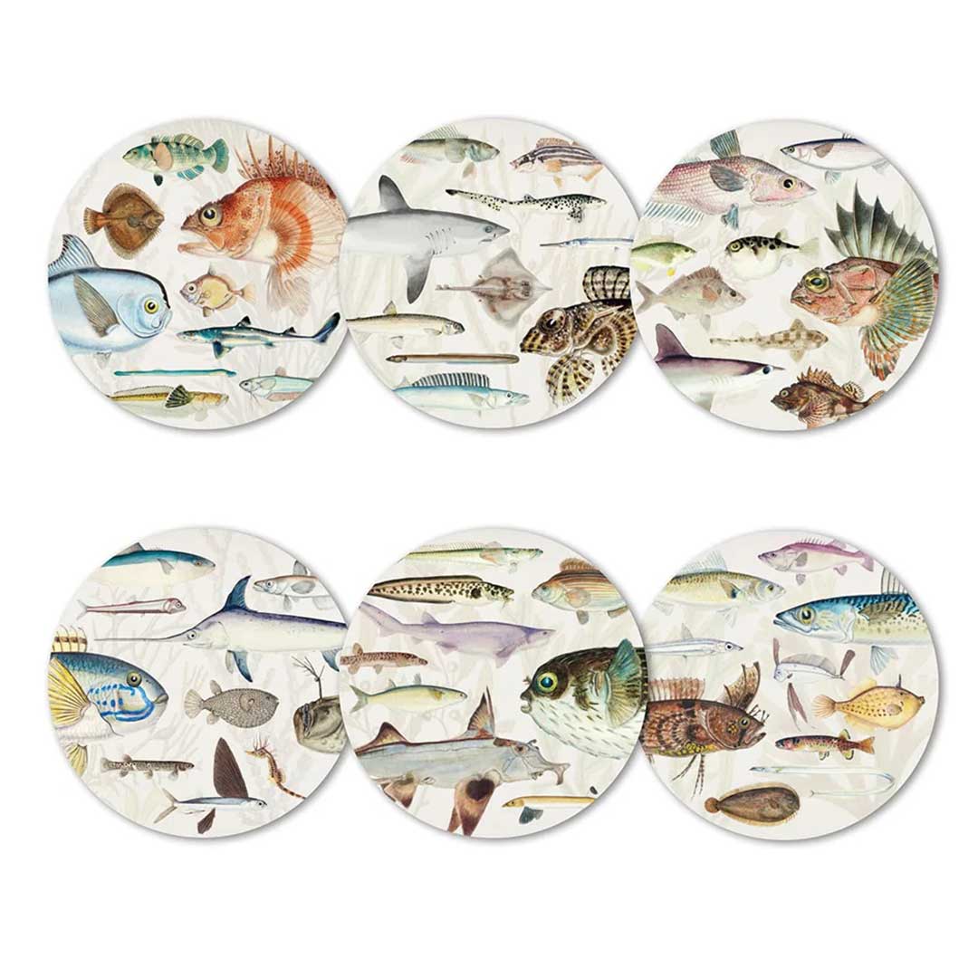 Fishes Of New Zealand Boxed Coasters Designs
