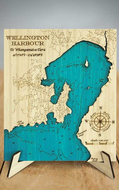 Wellington Harbour 3D Block Map